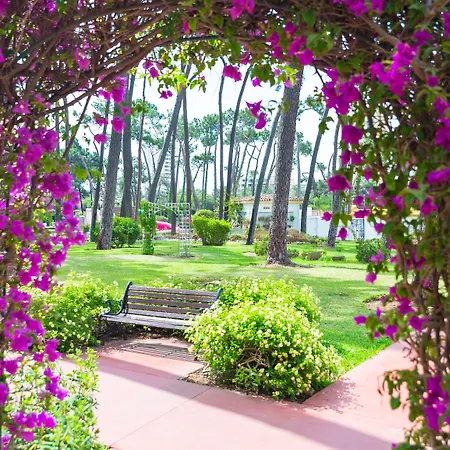 Ξενοδοχείο Aluasun Park 4*