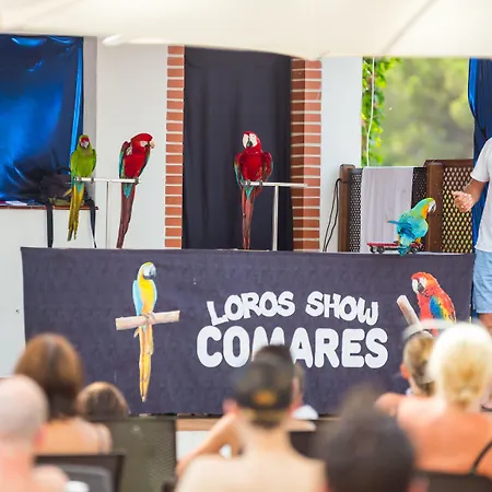 Ξενοδοχείο Aluasun Park Μαρμπέλλα